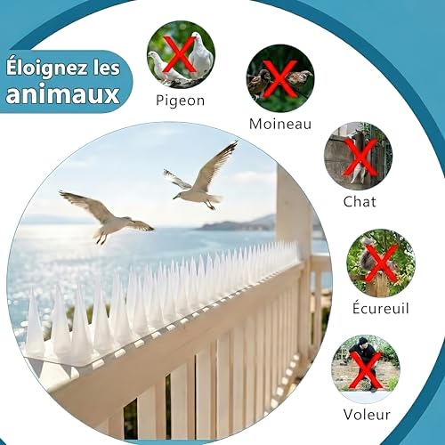 KOKMEYA Anti-Pigeon Spikes Plastic (2 m, 6 Pieces, Transparent) – Bird Repellent for Balcony, Gutter & Guardrail – Against Pigeons, Seagulls & Cats – Resistant