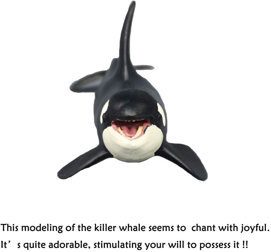 The Orca Blackfish Aquarium Decor - Image 5