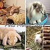 XIAO MO GU Bunny Chew Toys, 3 Types Rabbit Hamster Toys with Apple Wood Sticks Teeth Grinding Toy for Rabbits Bunny…