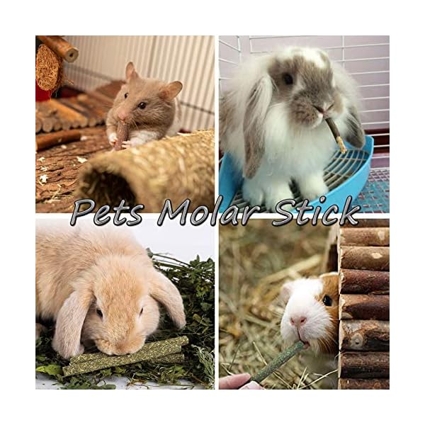 XIAO MO GU Bunny Chew Toys, 3 Types Rabbit Hamster Toys with Apple Wood Sticks Teeth Grinding Toy for Rabbits Bunny…