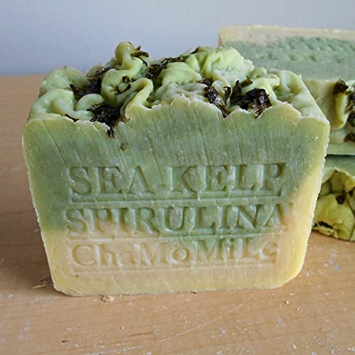 Natural Handcrafted Soap Company Handmade 7 oz. Bar Soap Fresh Organic Sea Kelp Moss with Chamomile Herb Organic Cocoa Butter Handmade !