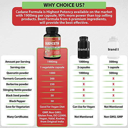 Quercetin Capsules 1900mg, 3 Months Supply with Turmeric, Berberine