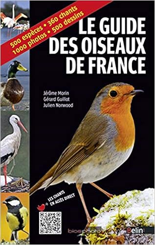 Le Guide Des Oiseaux De France Amazonfr Jérôme Morin