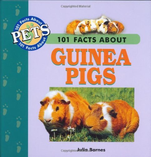 guinea pig 101