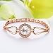 Lvpai Women's Small Round Wrist Watch for Dress Rose Gold Crystals Analog Quartz P105