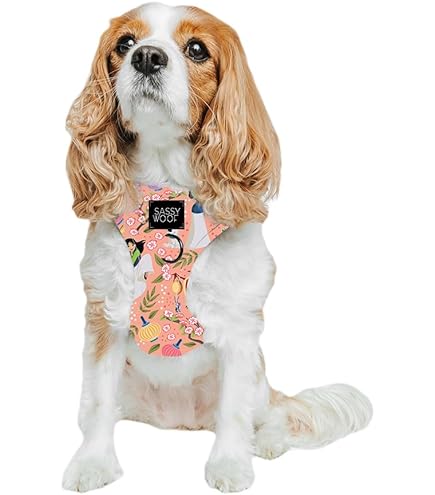 ＤＯＧＳ Amazon.com : Spark Paws Dog Hoodie – Premium Dog Sweater for