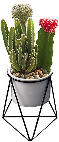 Modern Plants and Planters,Yousun 6 inch Ceramic Succulent White Planter Pot Indoor with Metal Stand for Succulent Plants/Cactus Bonsai (White/Black)