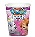 Girl Pups Paw Patrol Skye Everest 3rd Birthday Party Pack 52 Piece Set