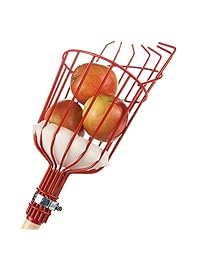 Recolector de fruta de la vendimia cesta con cojín para evitar contusiones (poste no incluido) por Home-x