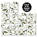 The Best Card Company - 20 Blank Notes with Envelopes - All Occasion Animal Assortment (10 Designs, 2 Each) - Scripture Birds AM7108OCB-B2x10-NB