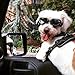 Namsan Dog Goggles for Small Dogs, UV Dog Sunglasses Small Breed, Windproof Dustproof Doggie Glasses, Outdoor Doggy Eyewear, Adjustable, Black