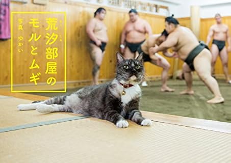 相撲部屋とは何か Boomil