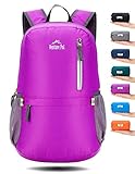 Venture Pal 25L Travel Backpack - Durable Packable Lightweight Small Backpack Women Men (Purple)