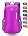 Venture Pal 25L Travel Backpack - Durable Packable Lightweight Small Backpack Women Men (Purple)
