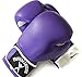 Physical Success Purple Boxing Gloves 12oz