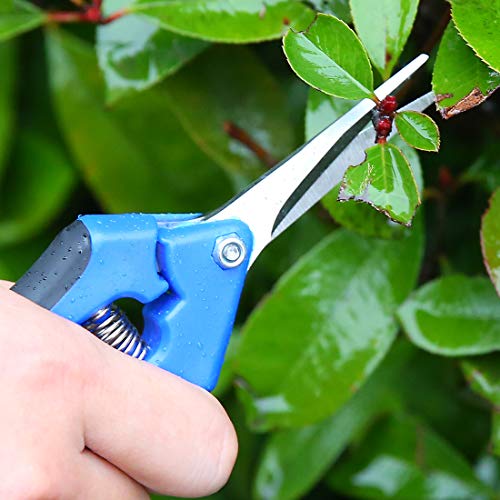 Terme Two Packs of Gardening Hand Pruner Pruning Shear with Straight Stainless Steel Blades