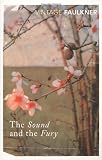 The Sound And The Fury (Vintage Classics) by Faulkner, William New edition (1995)
