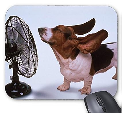 Image result for cartoon image  of someone being blown by fan