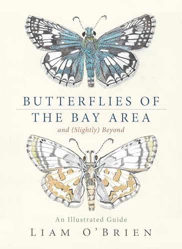Butterflies; (A concise guide in colour): Moucha, Josef