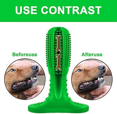 touch of practical dog toothbrush
