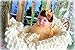 Thanksgiving Halloween Christmas Headbands Baby Girl Newborn Holiday Bow Infant