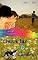 Livro Chuva, luz e Rainbow