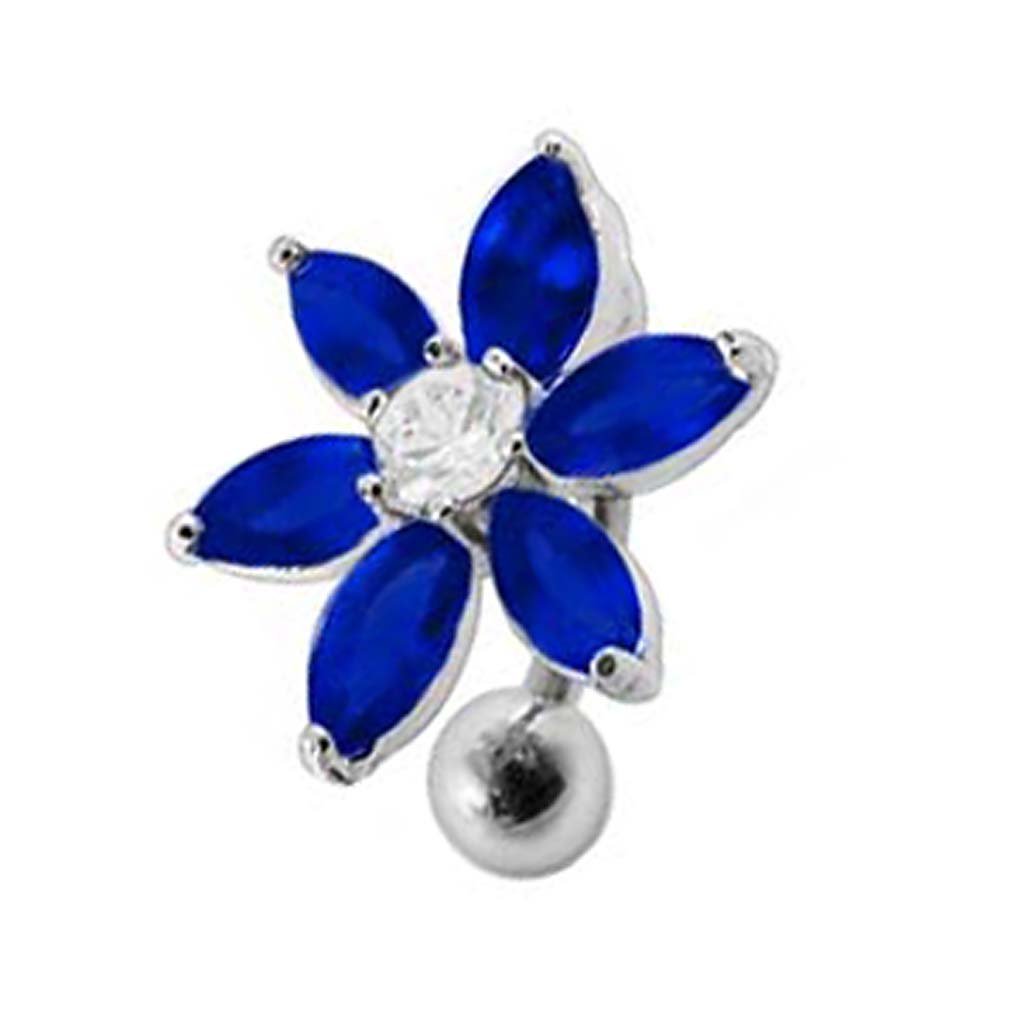 Emperor penguin appearance picture