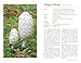 Mushrooms: River Cottage Handbook No.1