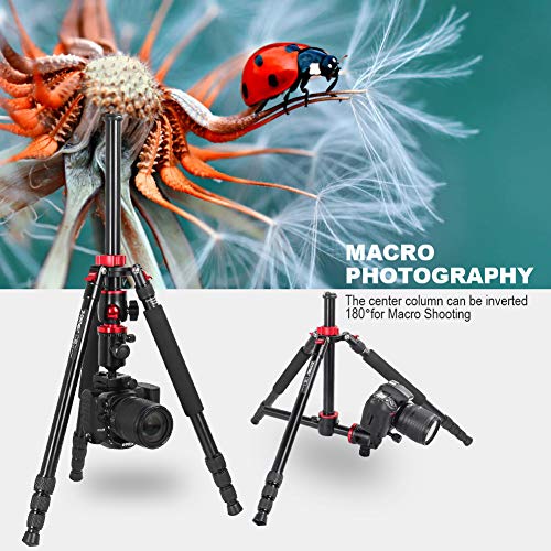 ZOMEi DSLR Camera Tripod 4 Section Portable Magnesium Aluminium Monopod Professional Tripods with 360 Degree Horizontal Rotation Ball Head Quick Release Plate for Canon Nikon Sony DSLR Cameras DV