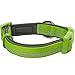 Blueberry Pet Adjustable Dog Collar, Soft & Safe, 3M Reflective, Neoprene Padded, Green Dog Collar, Dog Collars for Medium Dogs, Small Dog Collar, Eco-Friendly, Perfect for Pet Lovers & Owners