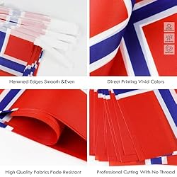 Norway String Flag Pennant Banner - 38 Flags, 42