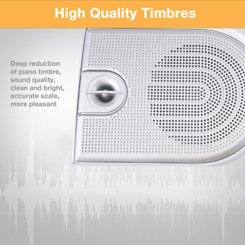 LAGRIMA 61 key Portable Electric Piano Keyboard, Include LED Display, USB/Headphones/MP3 Input, Music Stand, Power Supply and Microphone, Suit for Kids(Over 8 Years Old) Teen Adult Beginners, Silver