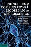 Principles of Computational Modelling in Neuroscience cover