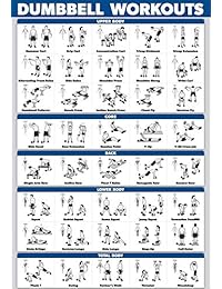 Póster de entrenamiento de mancuernas de Palace Learning, laminado, guía de construcción de peso libre, tabla de gimnasio en casa, doble cara, 18.0 x 27.0 in