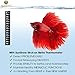 MARIMO PET STORE SunGrow Betta Sticker Thermometer, Ensure Optimum Comfort Around 78 Degrees, Accurately Measures Temperature, Large Fonts for Quick Reading, 1-Minute to Set-up