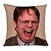 Mermaid The Office Merchandise Sequin Pillow Covers Dwight Schrute Magic Reversible Sequin Cushion Cover Decorative Pillowcase That Change Color (L The Office-Black Sequins)