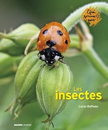 Les  insectes