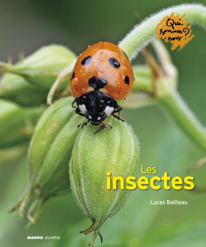 Les  insectes