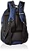 Victorinox VX Sport Cadet Laptop Backpack, Blue/Black, 19-Inch