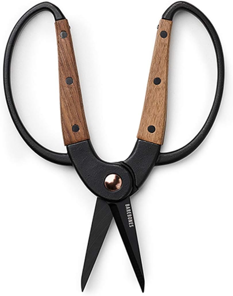 Barebones | Walnut Scissors, Small - Ambidextrous Grip, Wide Handles & Comfortable Fit: Home Improvement