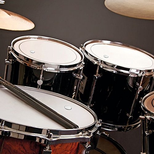 Makanu Drum Dampeners big 10 Pieces with plastic case clear damper gel pads drum head dampeners with box Non-toxic soft drum damper Tone Control for your drum