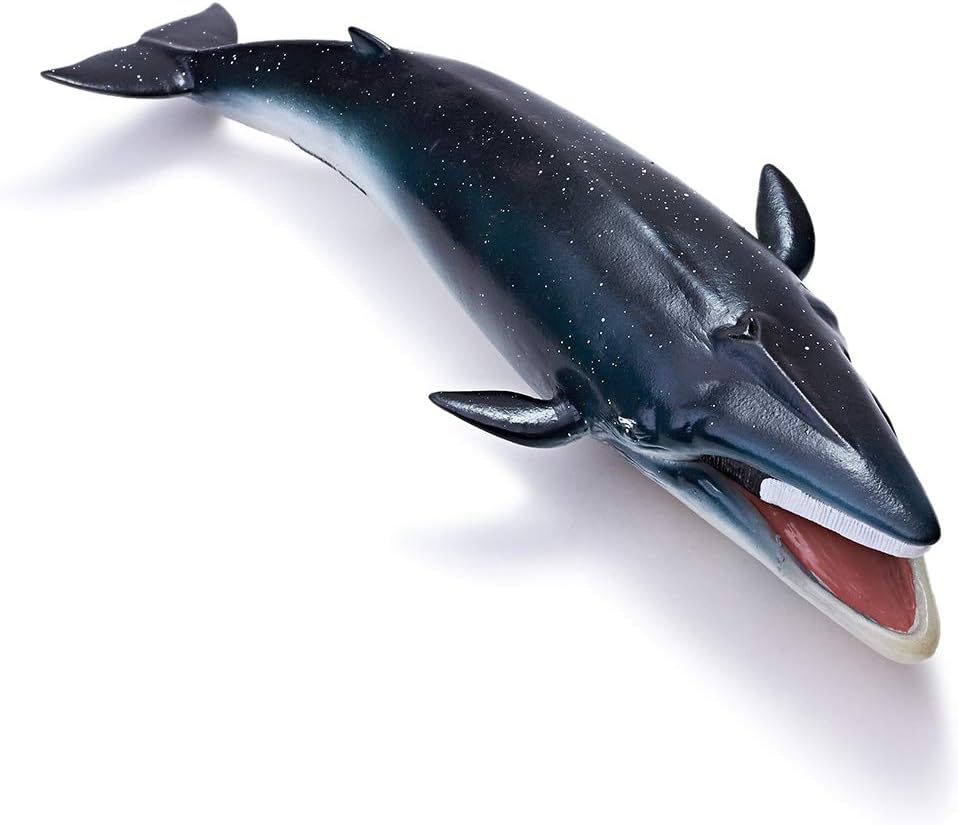 blue whale figure
