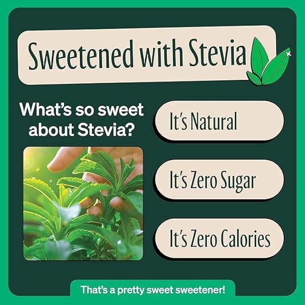 ZEVIA ORGANIC SUGAR FREE ICED TEA, TEA REFRESHER VARIETY PACK, 12 OUNCE CANS (PACK OF 12)