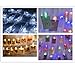 Clear Photo Clips, 100Pcs Mini Transparent Plastic Clothespins Hanging Multi-Functiona Picture Clips for Office,Home,Arts