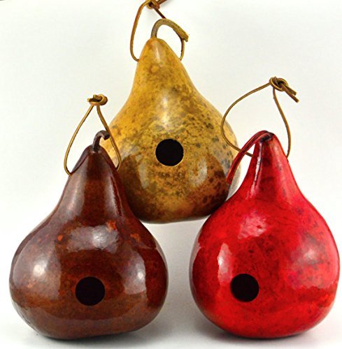 Gourd Birdhouses Painted Gourd Art Garden Art Bird Lovers Gift or Mothers Day Gift - 3 Gourd Combo