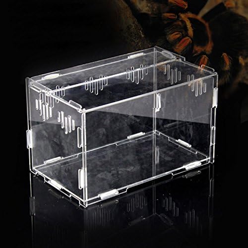 Acrylic Reptile Terrarium for Snake Lizard Testudo Vivarium Tank Assembled