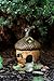 Top Collection Enchanted Story Garden and Terrarium Acorn Fairy House Outdoor Decor