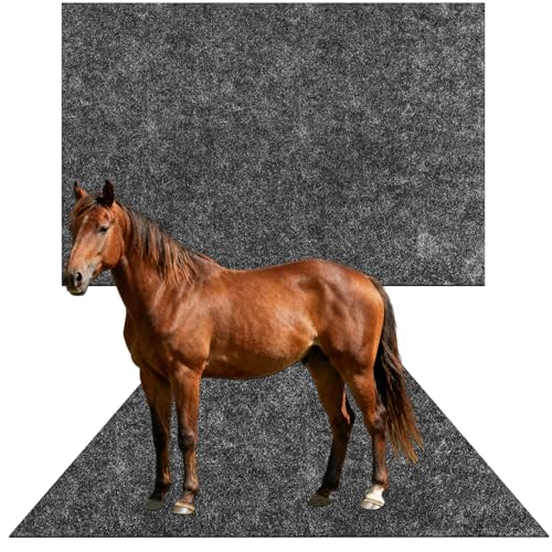 BETAGT Stable Floor Mat