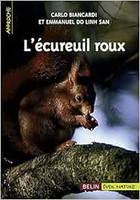 L Ecureuil Roux Biancardi Carlo Do Linh San Emmanuel Dorigny Francois Amazon Com Books L Ecureuil Roux Biancardi Carlo Do Linh San Emmanuel Dorigny Francois Amazon Com Books