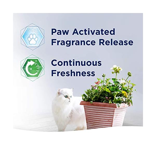 Ever Clean Extra Strong Clumping Cat Litter, 10 Litre, Scented